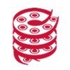 Spiral Conveyor